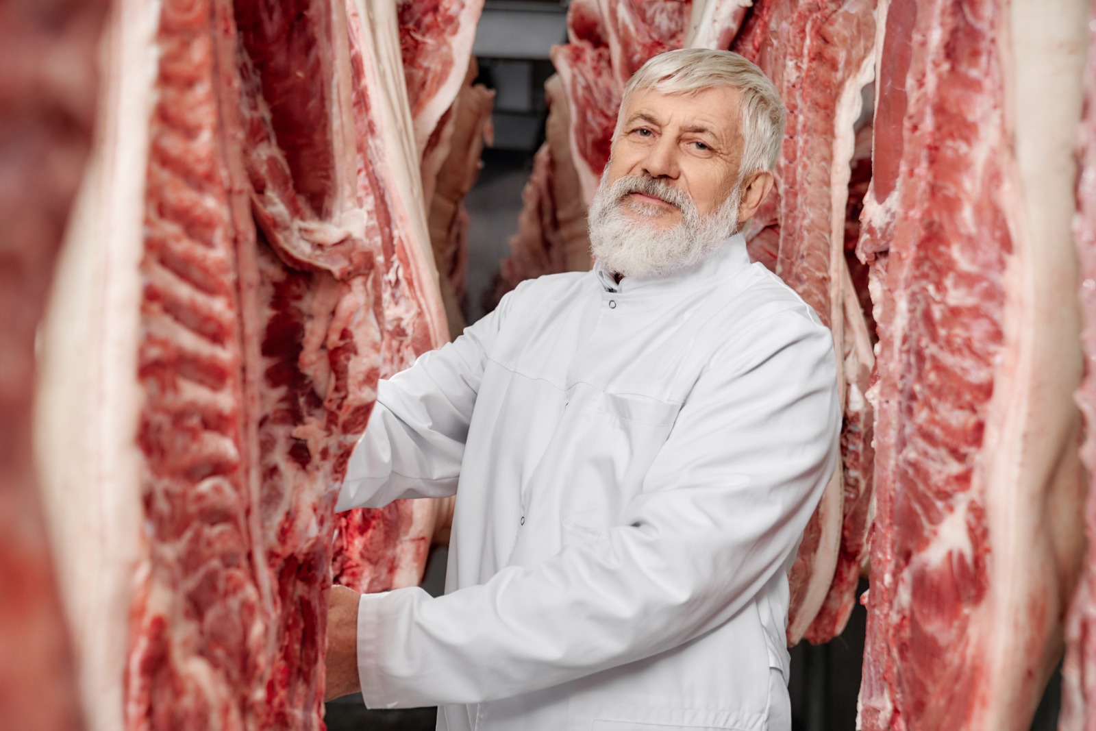 Butcher Equipment